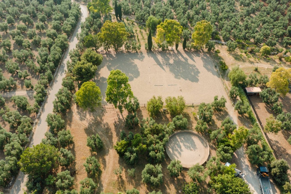 Farm Ranch in Sant'Andrea, Bisceglie, Apulia 5 - 17844407