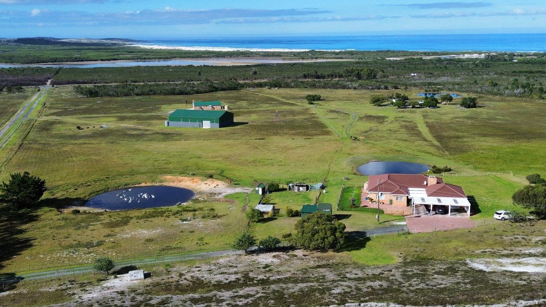 Farm Ranch in Gansbaai, Western Cape, South Africa 1 - 17847782