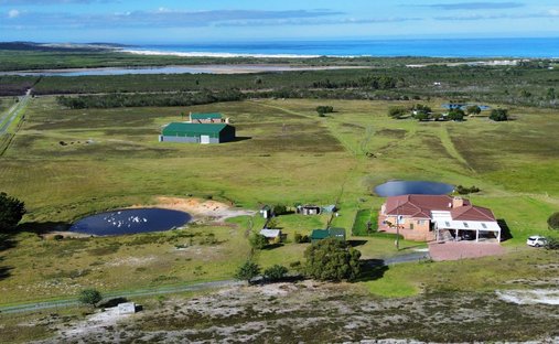 Azienda agricola a Gansbaai, Capo Occidentale, Sudafrica 1