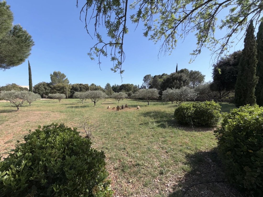 House in Cotignac, Provence-Alpes-Côte d'Azur, France 4 - 17847835
