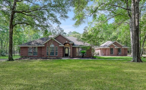 House in Magnolia, Texas, United States 1