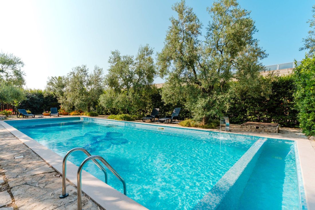 Farm Ranch in Sant'Andrea, Bisceglie, Apulia 1 - 17844407