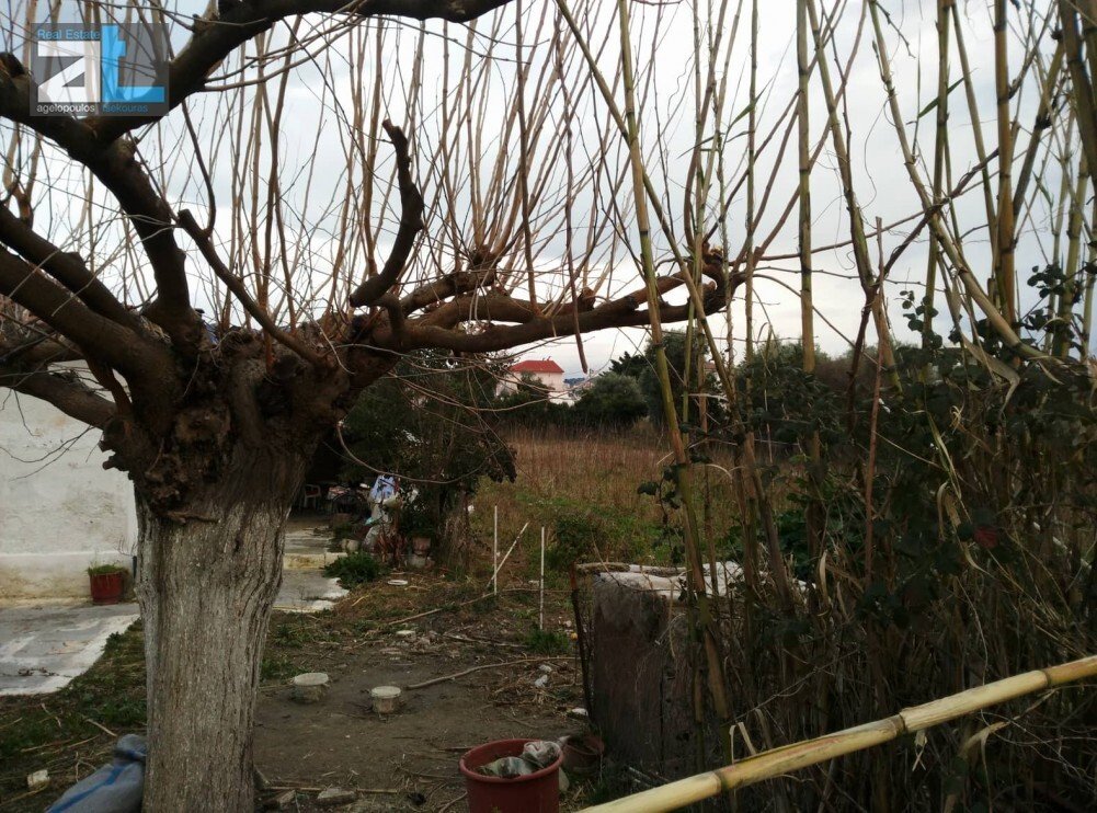 Land in Paralias, Paralia, Greece 1 - 17844193