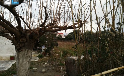 Terreno en Paralias, Paralia, Grecia 1