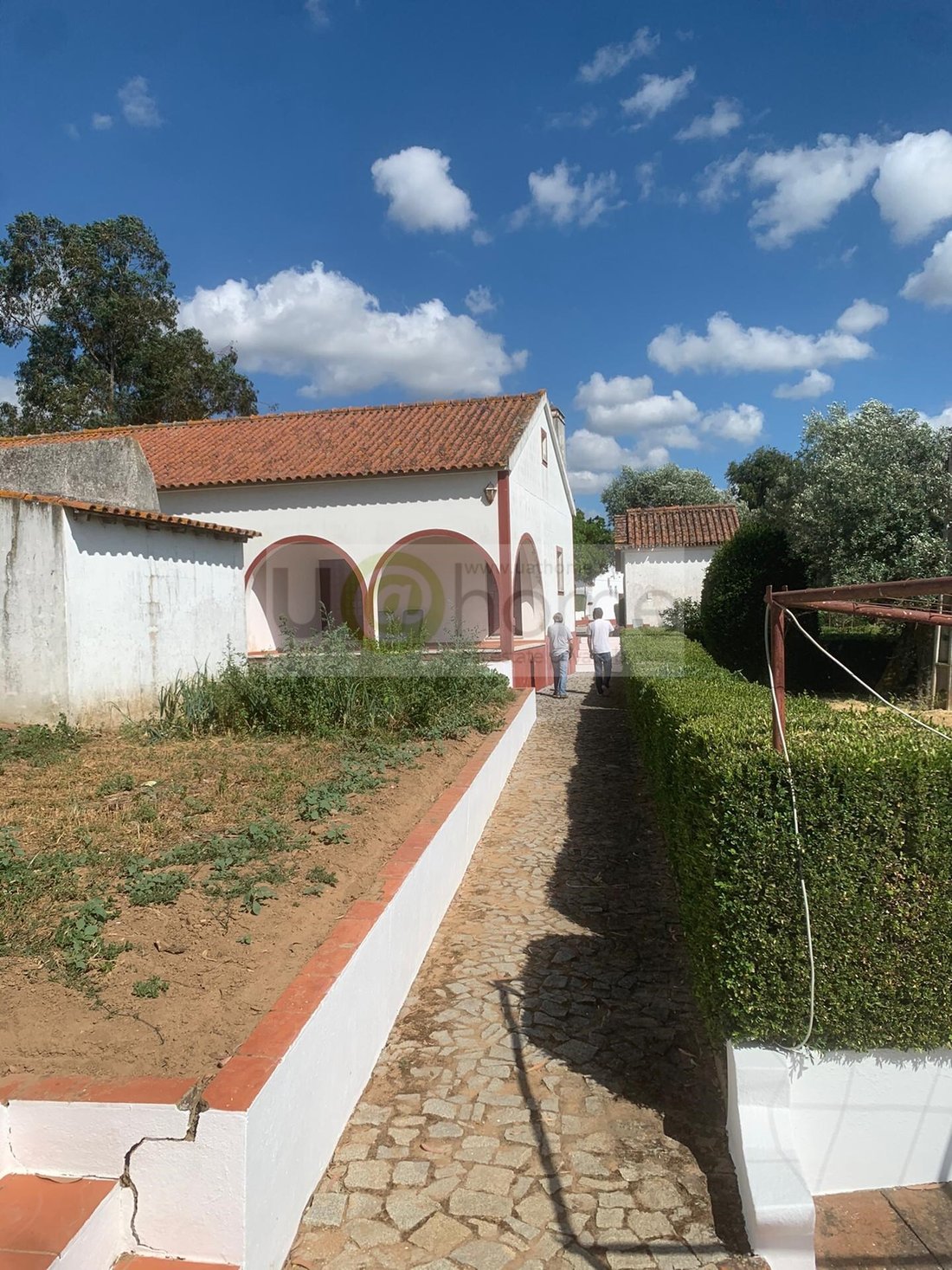 Finca in Nossa Senhora da Vila, Nossa Senhora do Bispo e Silveiras, Évora District, Portugal 5 - 15479879