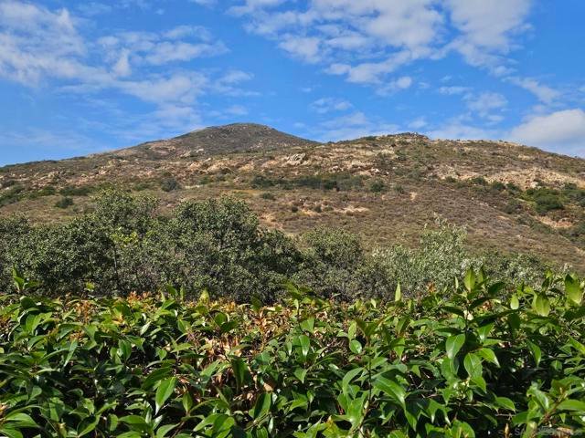Condo in San Diego, California, United States 5 - 17848981