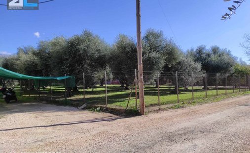 Land in 2nd Community of Patras - Southern Sector, Peloponnese, Western Greece and the Ionian, Greece 1