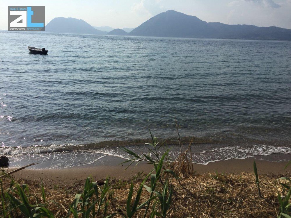 Land in 1st Community of Patras - Arctic Sector, Peloponnese, Western Greece and the Ionian, Greece 4 - 17844155