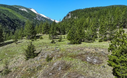 Land in Victor, Montana, United States 1