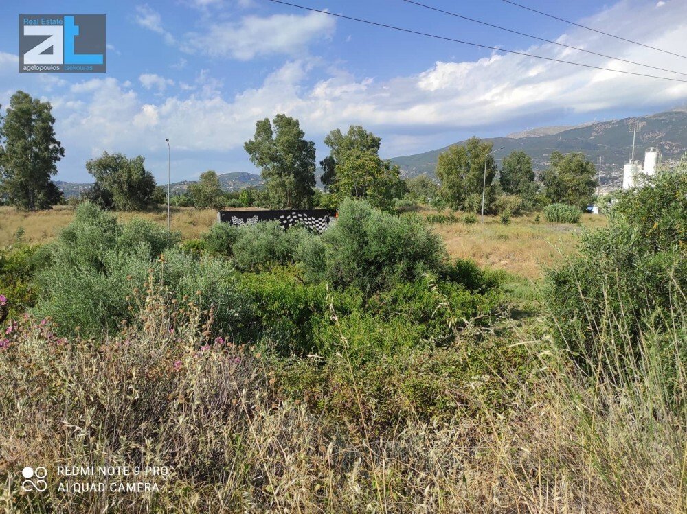 Land in 3rd Community of Patras - Eastern Sector, Peloponnese, Western Greece and the Ionian, Greece 4 - 17844292