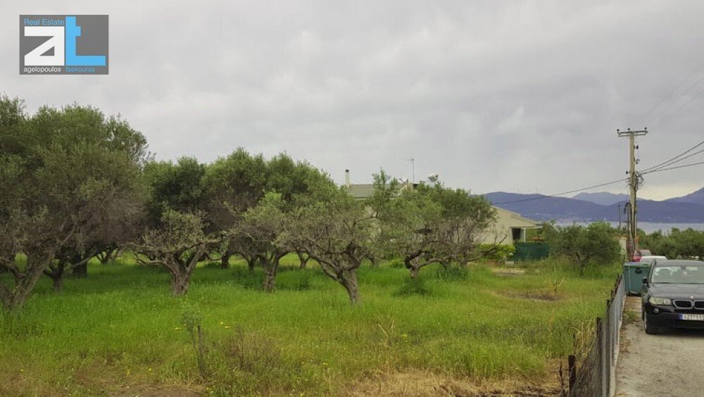 Land in Agiou Basileiou, Peloponnese, Western Greece and the Ionian, Greece 1 - 17843878