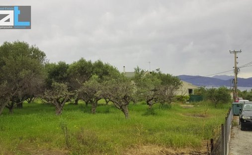 Land in Agiou Basileiou, Peloponnese, Western Greece and the Ionian, Greece 1