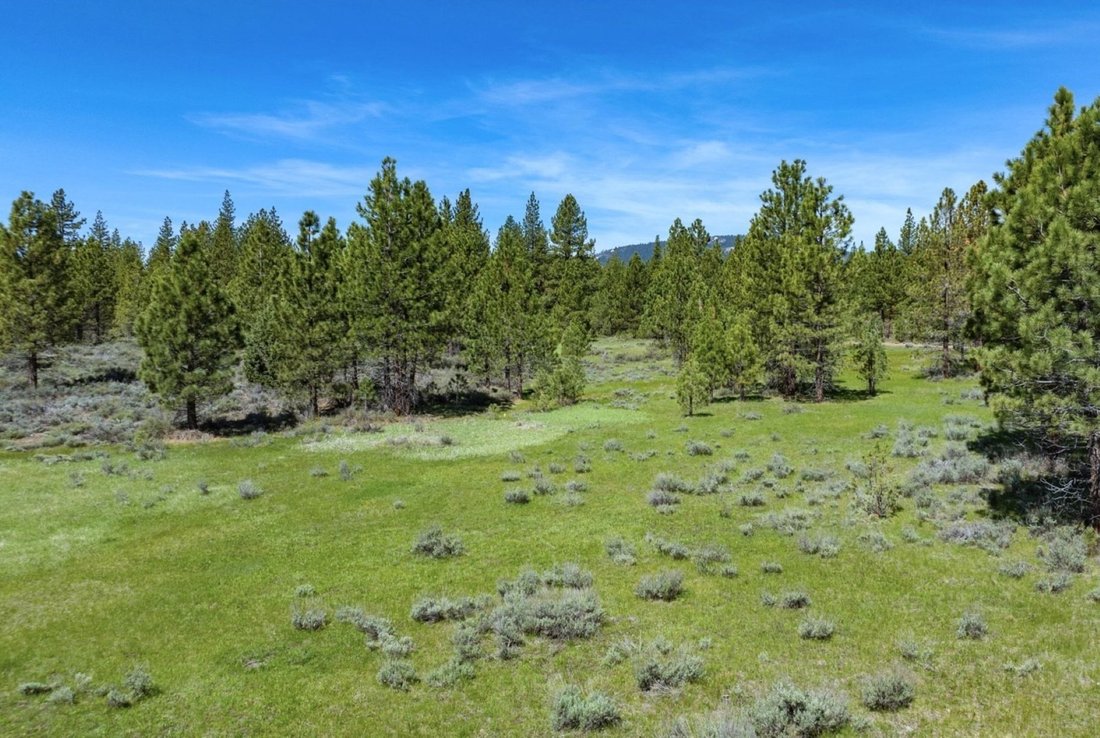 Land in Portola, California, United States 2 - 17849234