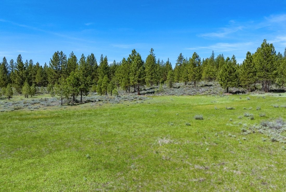 Land in Portola, California, United States 1 - 17849234