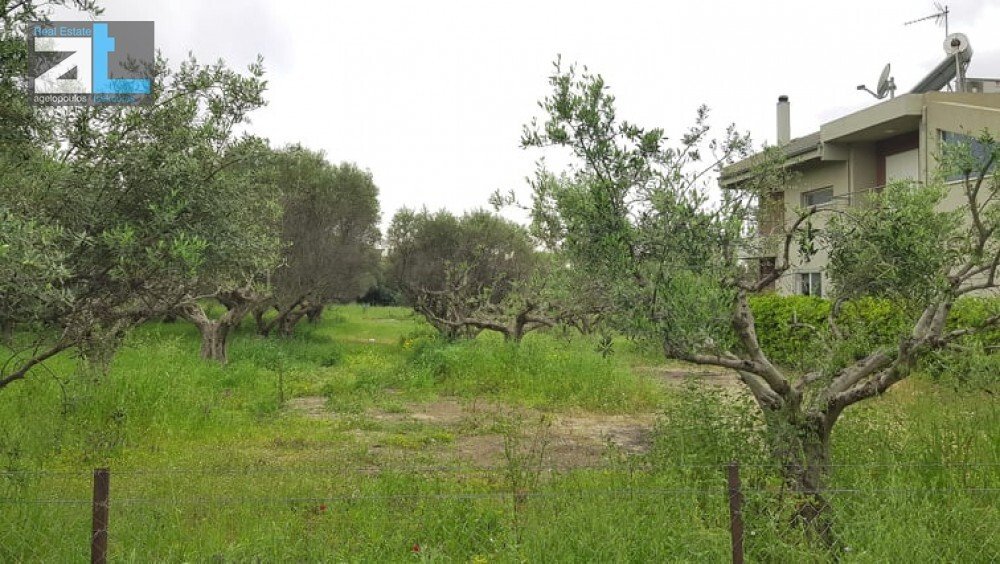Land in Agiou Basileiou, Peloponnese, Western Greece and the Ionian, Greece 2 - 17843878