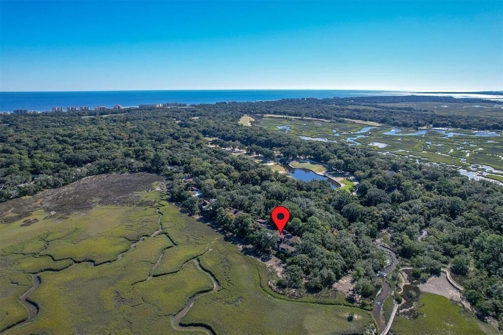 Condo in Fernandina Beach, Florida, United States 1 - 17846342