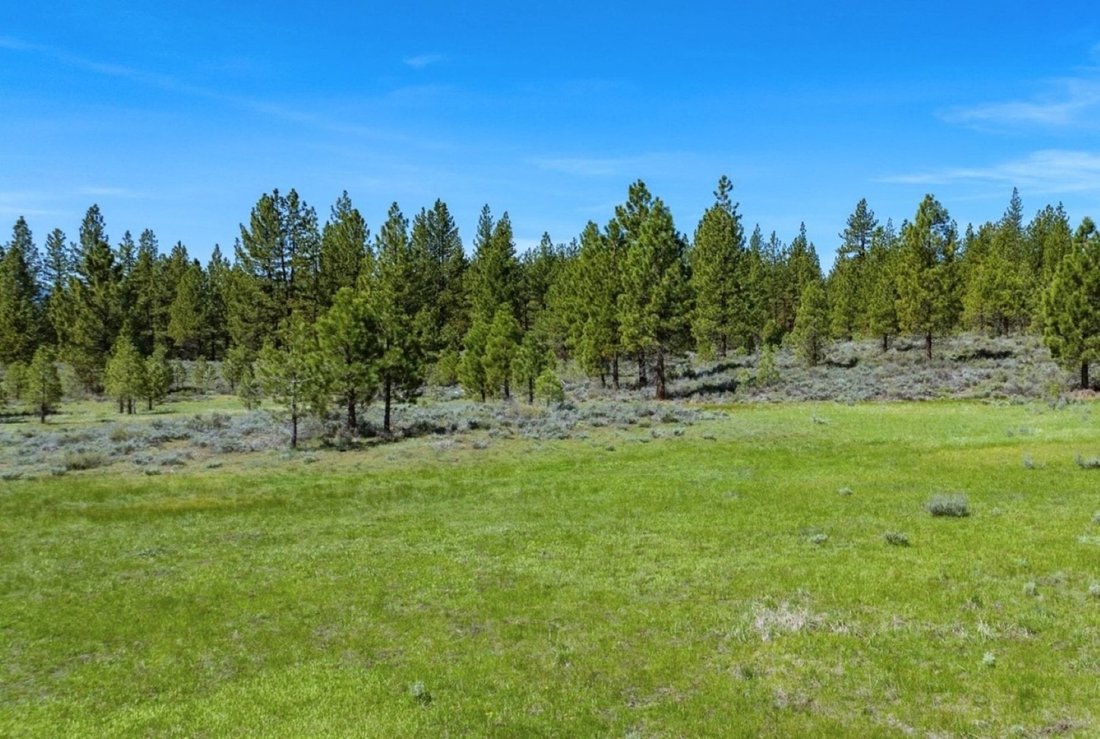 Land in Portola, California, United States 3 - 17849234