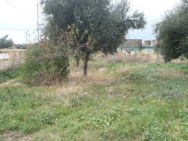 Land in 2nd Community of Patras - Southern Sector, Peloponnese, Western Greece and the Ionian, Greece 2 - 17844182