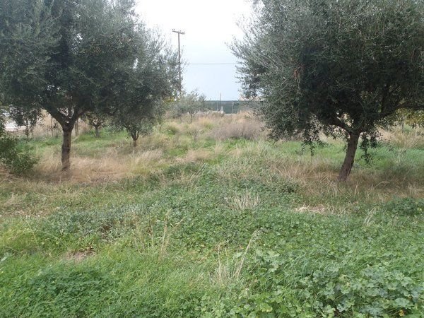 Land in 2nd Community of Patras - Southern Sector, Peloponnese, Western Greece and the Ionian, Greece 1 - 17844182