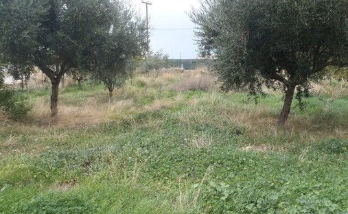 Land in 2nd Community of Patras - Southern Sector, Peloponnese, Western Greece and the Ionian, Greece 1