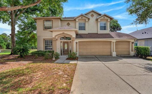 House in Lake Mary, Florida, United States 1