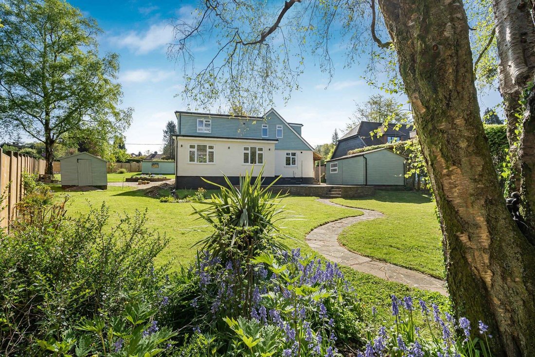 Haus in Medstead, England 5 - 17849528