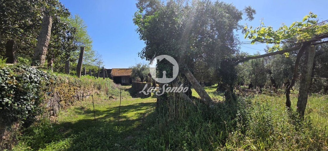 Farm Ranch in Castelo do Neiva, Viana do Castelo District, Portugal 5 - 12452328