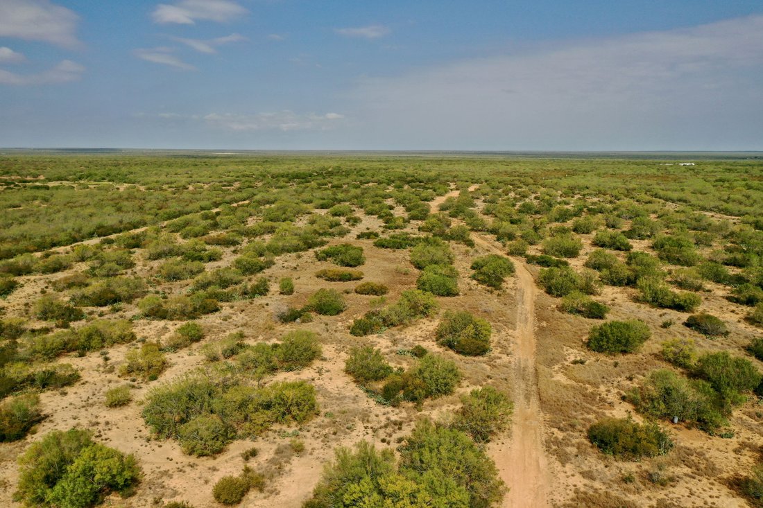 Farm Ranch in Encinal, Texas, United States 3 - 17849948