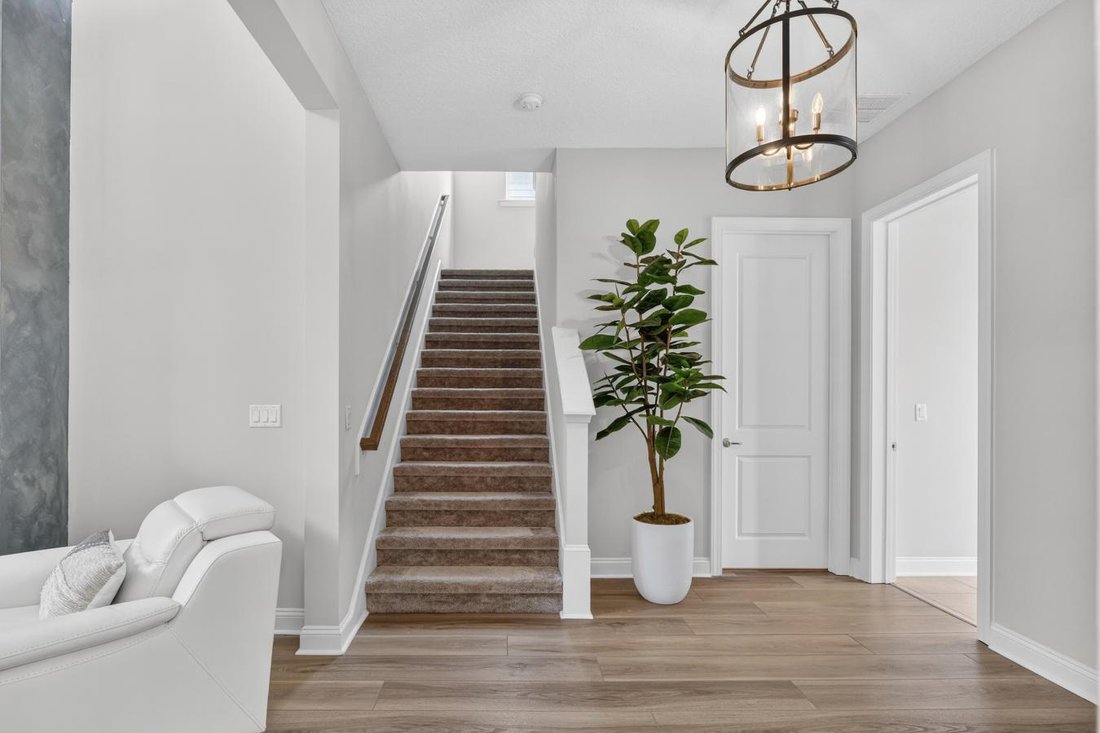 House in Jacksonville, Florida, United States 4 - 17850124