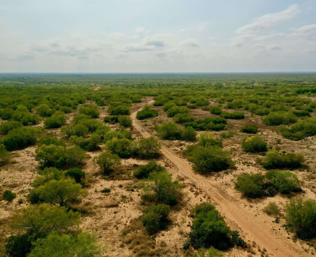 Farm Ranch in Encinal, Texas, United States 1 - 17849948