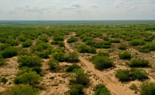Farm Ranch in Encinal, Texas, United States 1