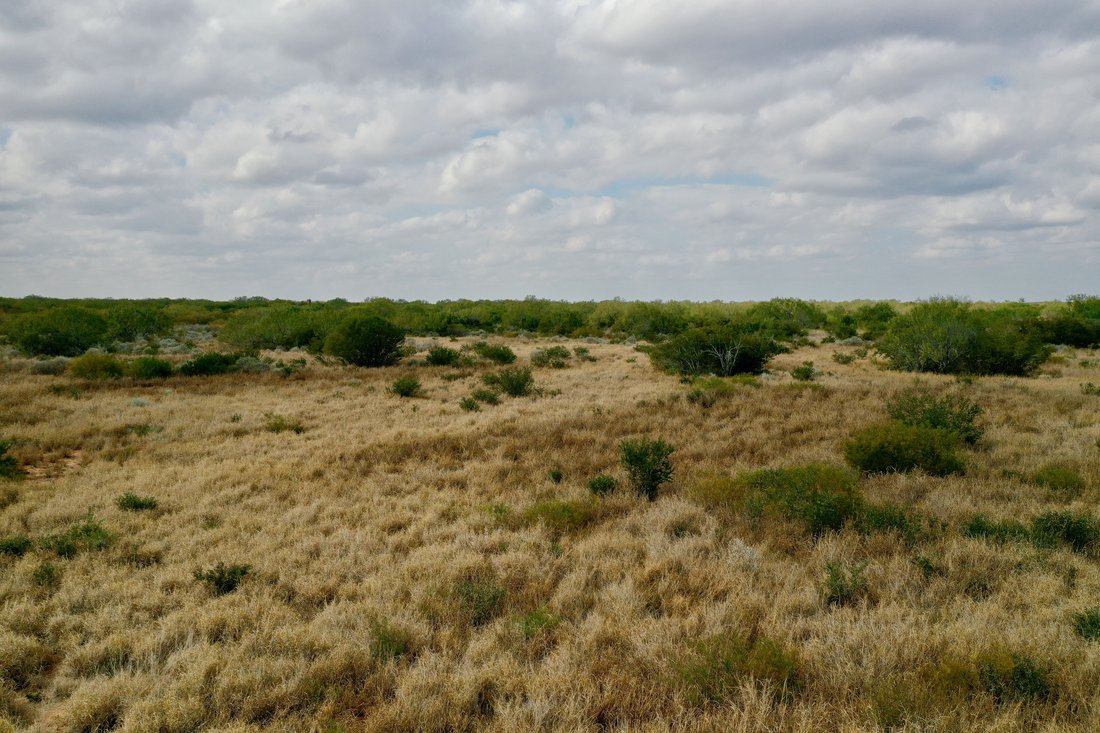 Farm Ranch in Encinal, Texas, United States 4 - 17849948