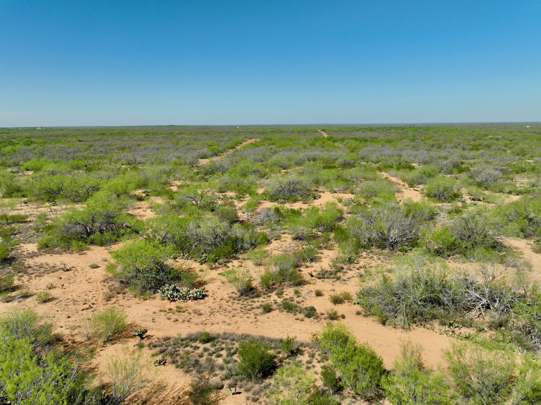 Farm Ranch in Encinal, Texas, United States 5 - 17849948