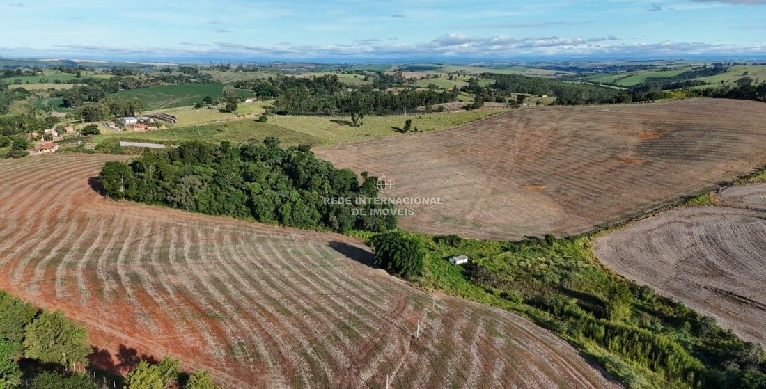 Farm Ranch in Ronco, State of Paraná, Brazil 5 - 17850381