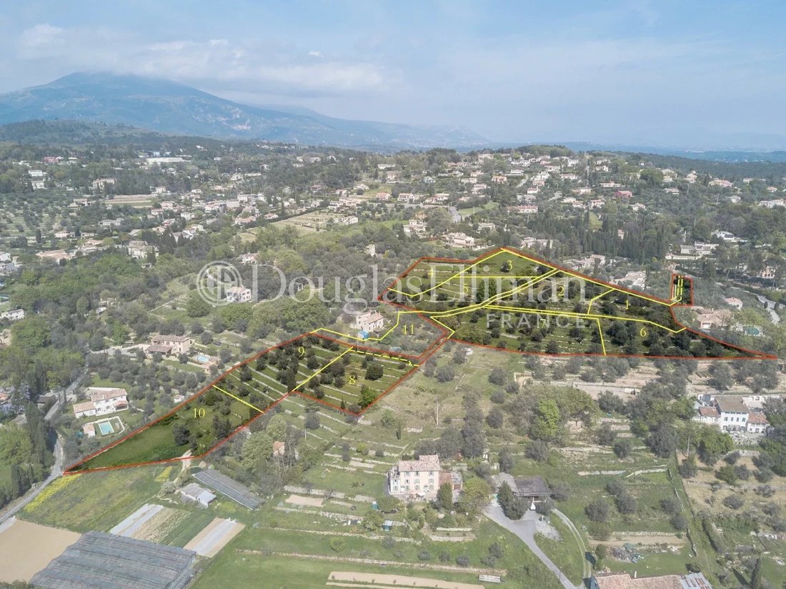 Land in Opio, Provence-Alpes-Côte d'Azur, France 2 - 12573591