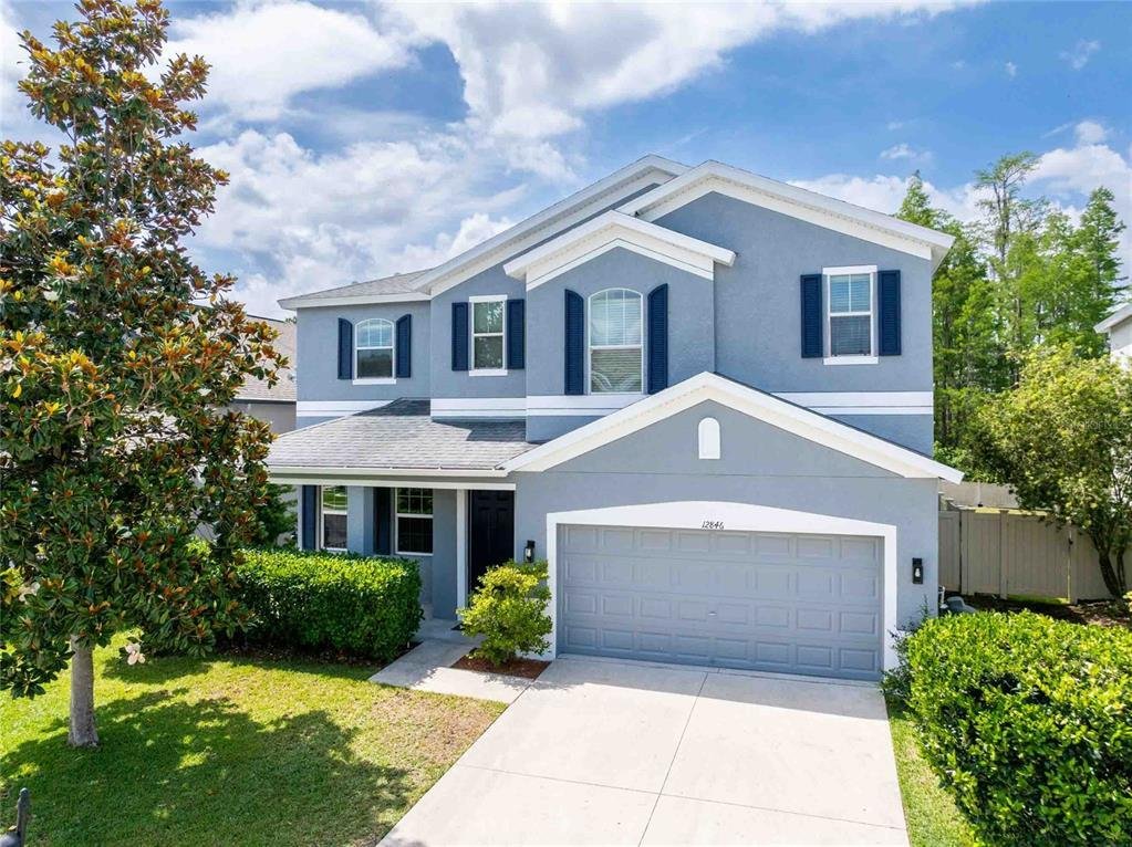 House in Trinity, Florida, United States 1 - 17845602