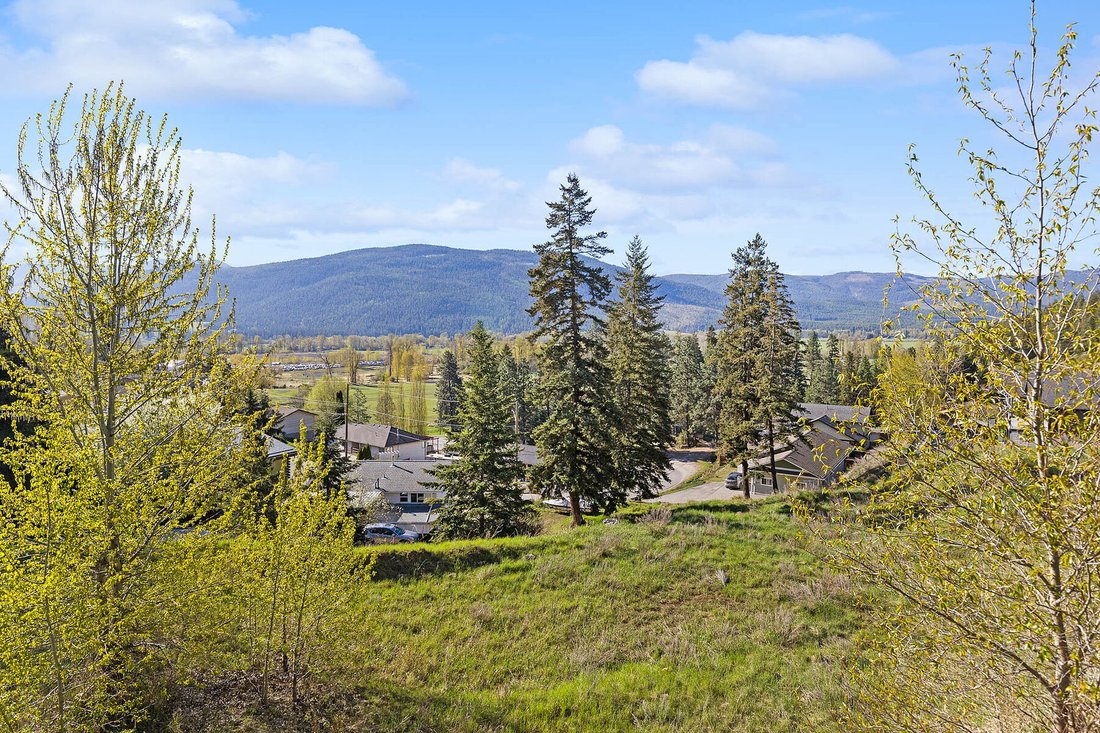 Land in Lumby, British Columbia, Canada 1 - 17851226