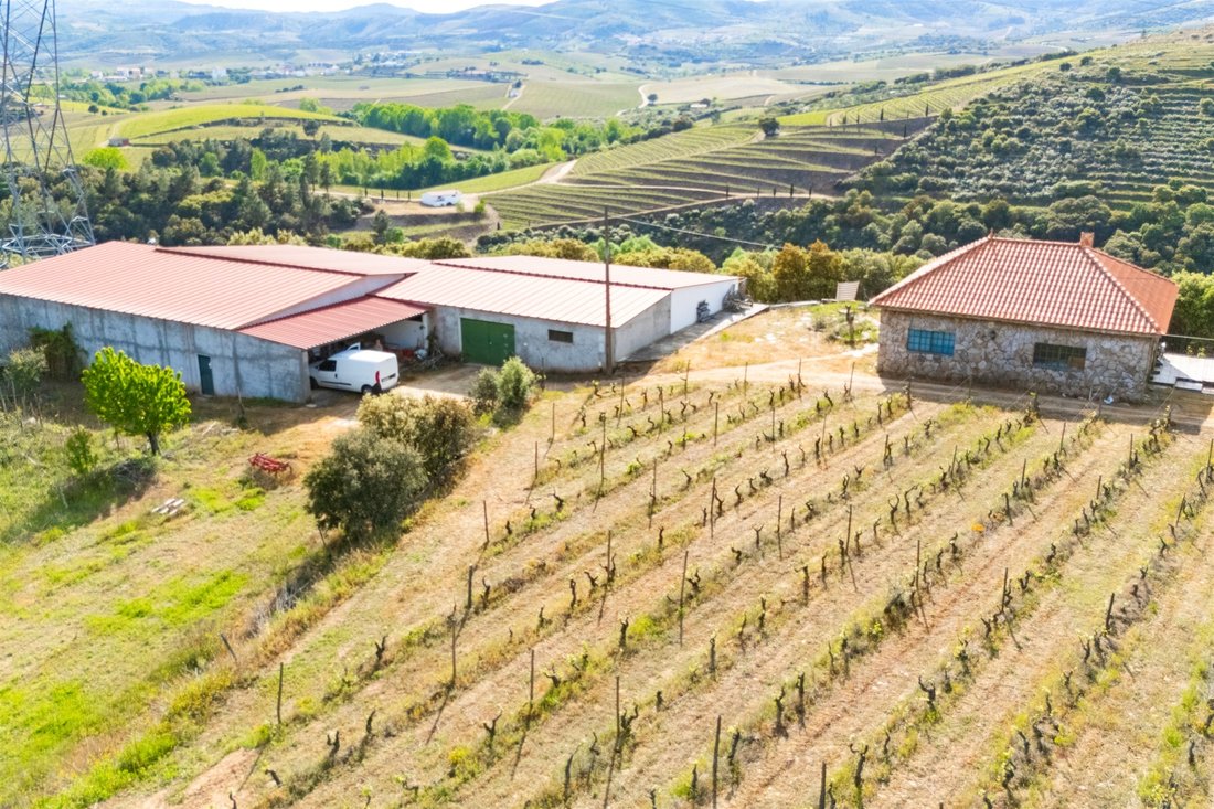 Farm Ranch in Vila Nova de Foz Coa, Guarda District, Portugal 4 - 17851254