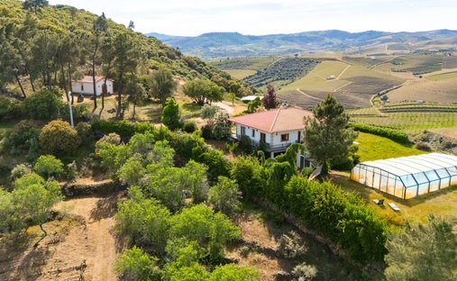 Farm Ranch in Vila Nova de Foz Coa, Guarda District, Portugal 1