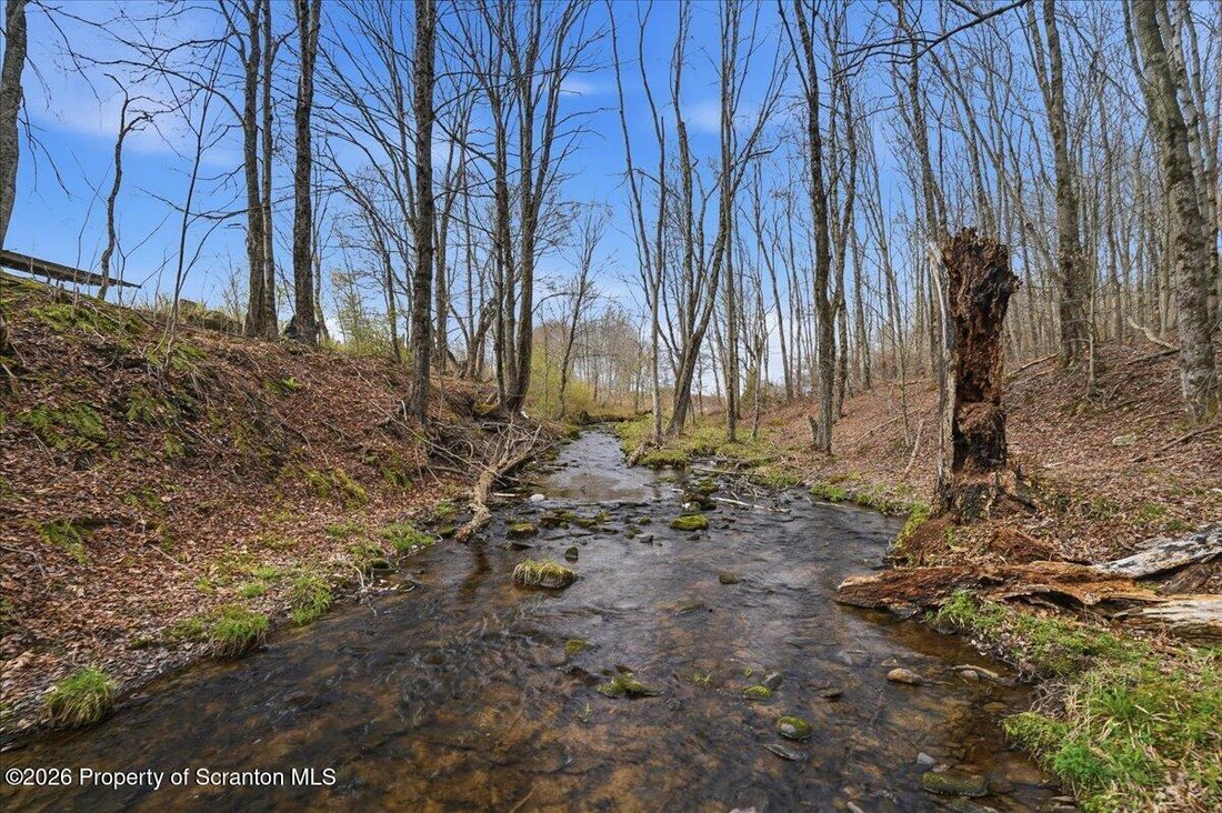 Farm Ranch in Thompson, Pennsylvania, United States 4 - 17850654
