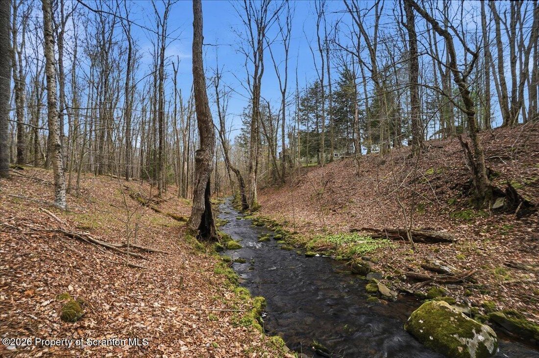 Farm Ranch in Thompson, Pennsylvania, United States 5 - 17850654