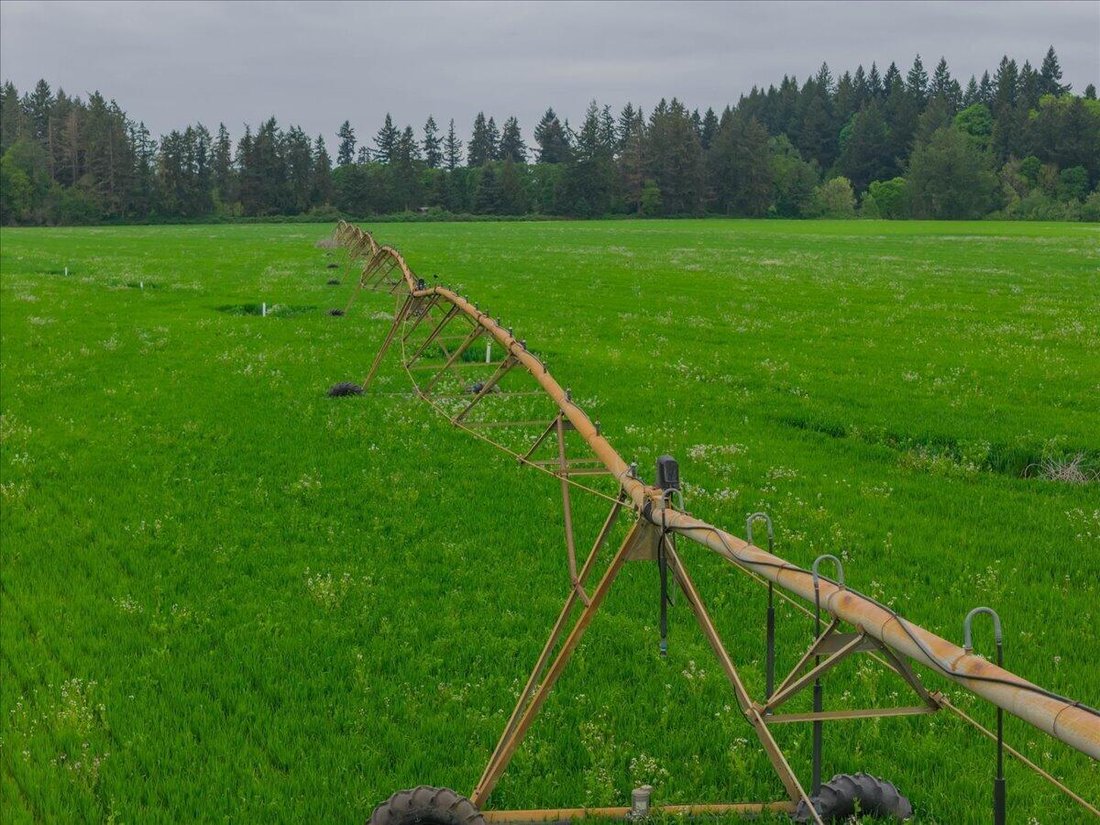 Farm Ranch in Jefferson, Oregon, United States 4 - 17850531