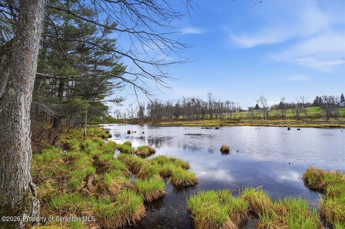 Farm Ranch in Thompson, Pennsylvania, United States 2 - 17850654