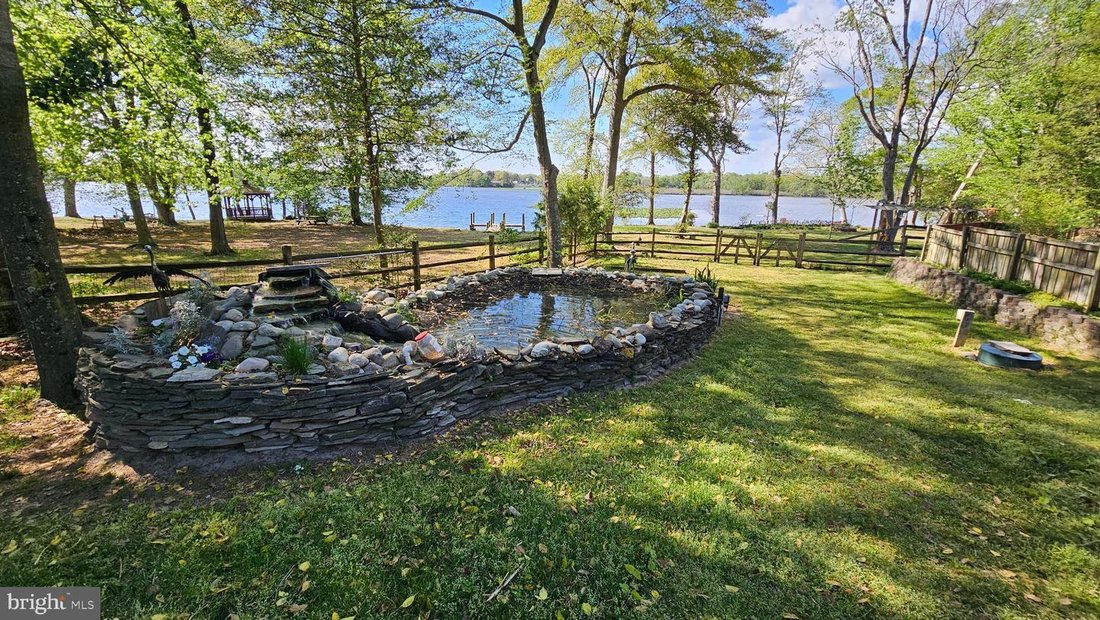 Seaford, Delaware, United States 4 - 17851046