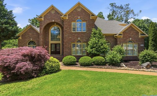 House in Madison, Alabama, United States 1