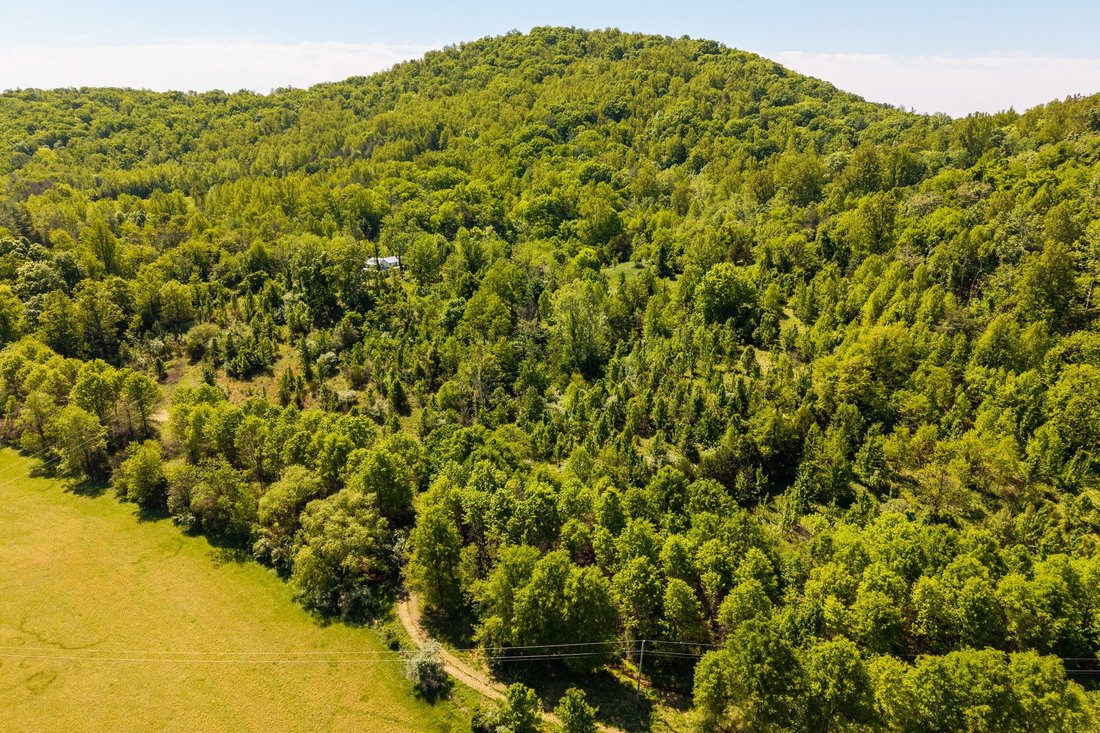 Land in White Hall, Virginia, United States 4 - 17851238