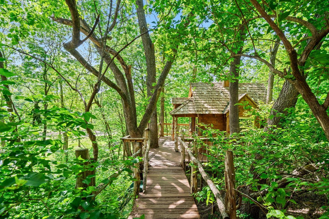 House in Springfield, Missouri, United States 4 - 17850687