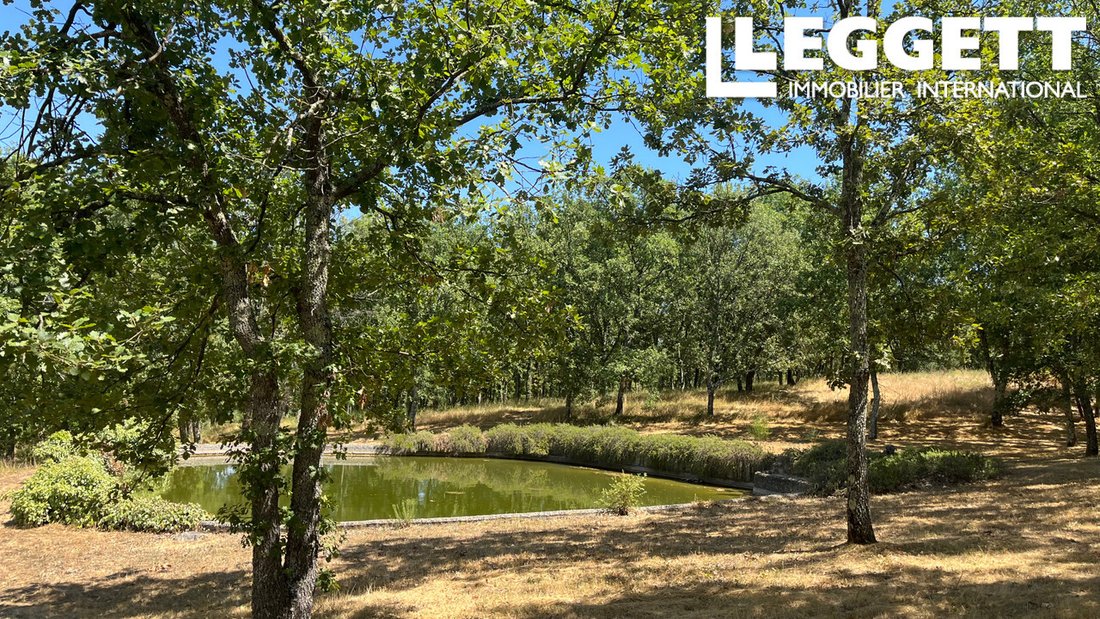 Villa in Bagnols-en-Forêt, Provence-Alpes-Côte d'Azur, France 4 - 17856497