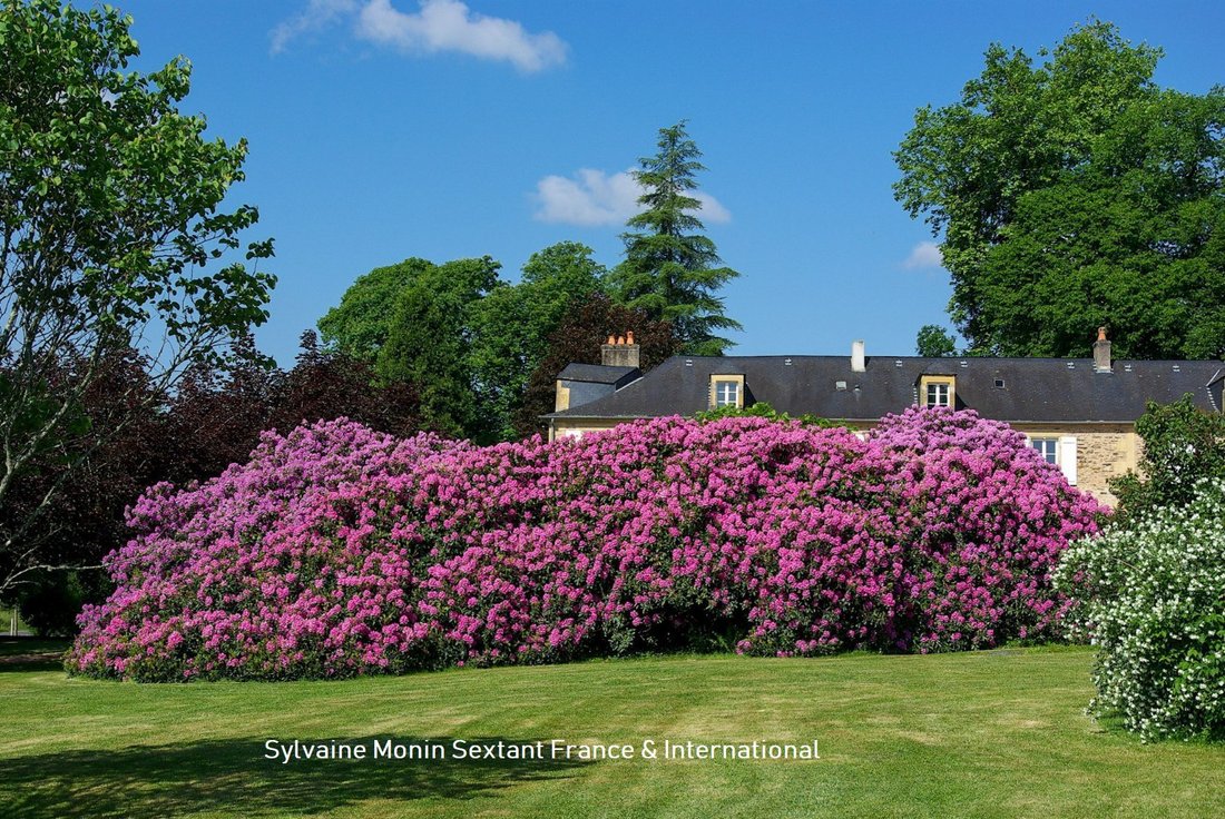 Lanouaille, Nouvelle-Aquitaine, France 4 - 17856425