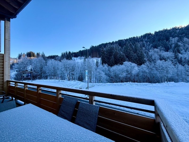 Apartment in Les Gets, Auvergne-Rhône-Alpes, France 5 - 17853109